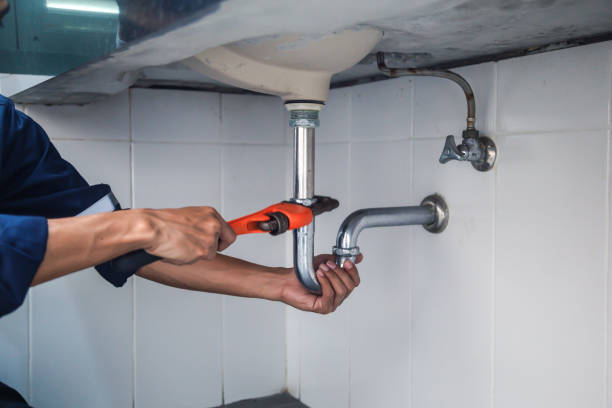 Best Local Plumber Services  in Sewalls Point, FL